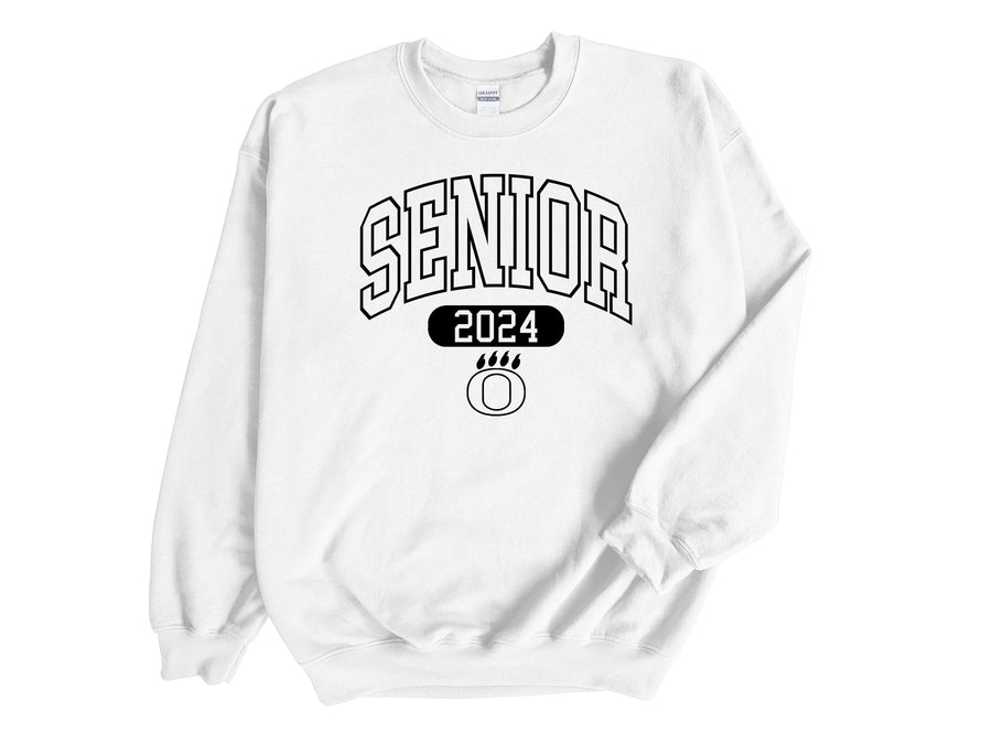 Safe & Sane- Senior Class of 2024- Sweatshirt